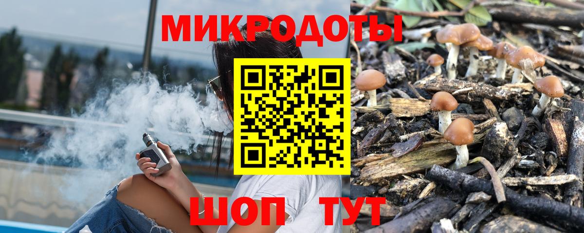 Псилоцибиновые грибы GOLDEN TEACHER  Вход с VPN  Реж  Псилоцибиновые грибы мухоморы 